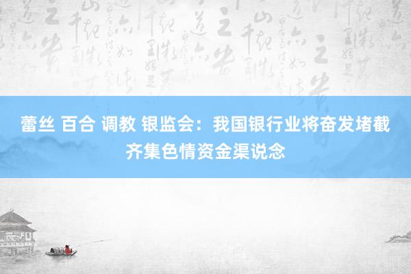 蕾丝 百合 调教 银监会：我国银行业将奋发堵截齐集色情资金渠说念