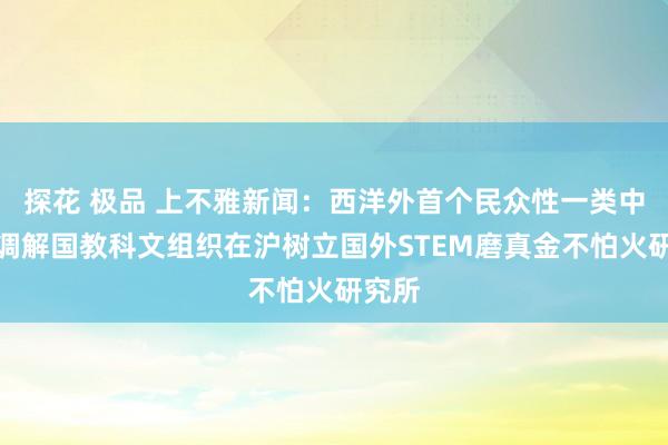 探花 极品 上不雅新闻：西洋外首个民众性一类中心！调解国教科文组织在沪树立国外STEM磨真金不怕火研究所