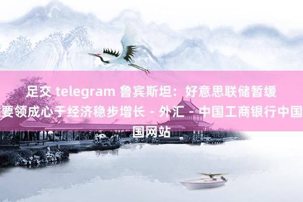 足交 telegram 鲁宾斯坦：好意思联储暂缓加息要领成心于经济稳步增长－外汇－中国工商银行中国网站